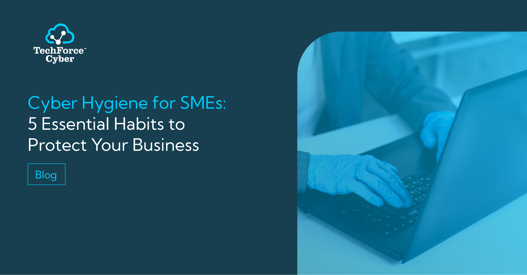 Cyber Hygiene for SMEs: 5 Essential Habits to Protect Your Business
